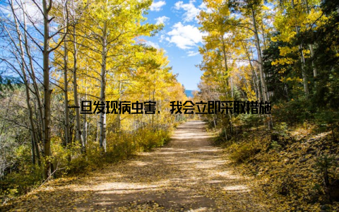 一旦发现病虫害, 我会立即采取措施