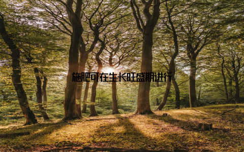 施肥可在生长旺盛期进行