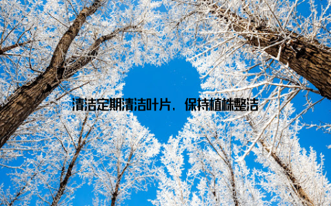 清洁定期清洁叶片, 保持植株整洁