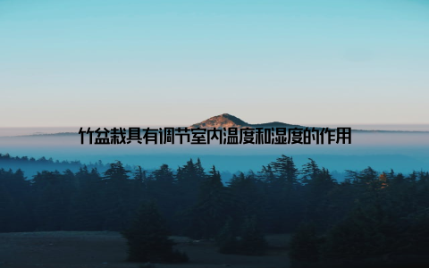 竹盆栽具有调节室内温度和湿度的作用