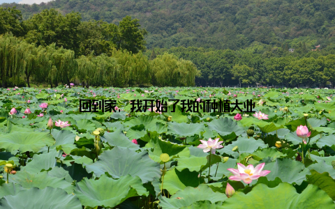 回到家, 我开始了我的种植大业