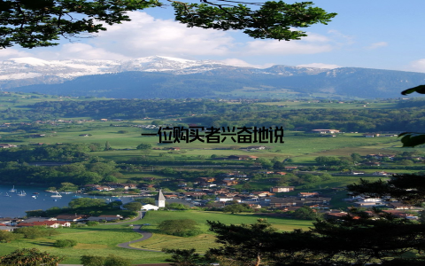 一位购买者兴奋地说