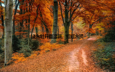 浇水牡丹喜湿润, 但忌水涝