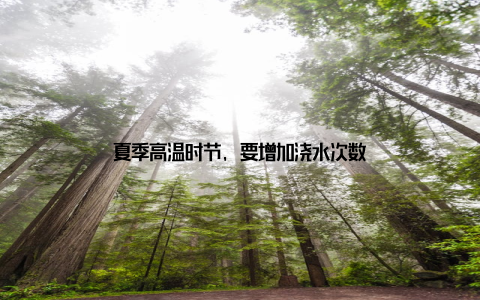 夏季高温时节, 要增加浇水次数