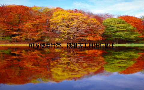 可以使用竹签、铁锹等工具进行松土