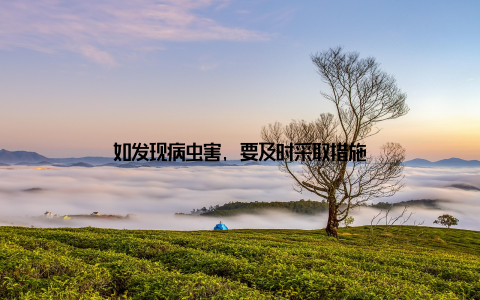 如发现病虫害, 要及时采取措施