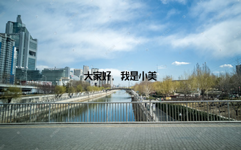 大家好, 我是小美