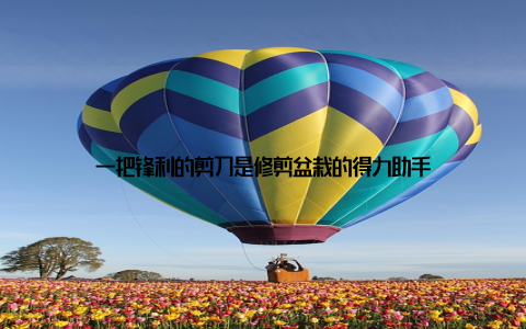 一把锋利的剪刀是修剪盆栽的得力助手