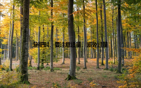 施肥时, 要注意适量, 避免过量