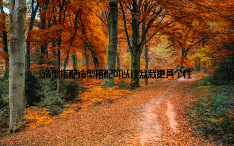 造型搭配造型搭配可以让盆栽更具个性