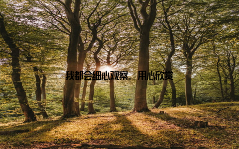 我都会细心观察, 用心欣赏