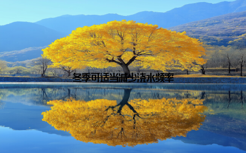 冬季可适当减少浇水频率