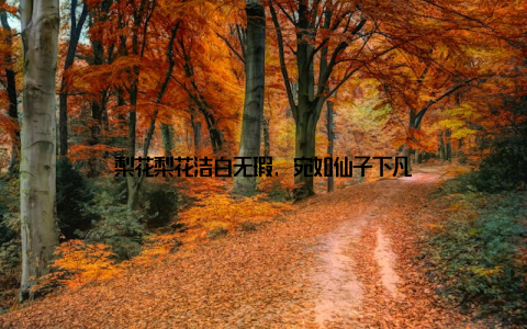 梨花梨花洁白无瑕, 宛如仙子下凡