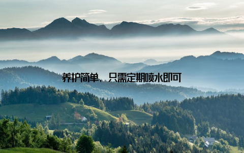 养护简单, 只需定期喷水即可