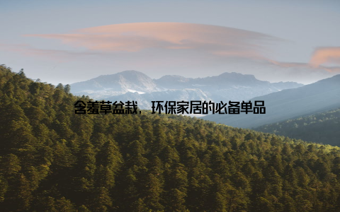 含羞草盆栽, 环保家居的必备单品