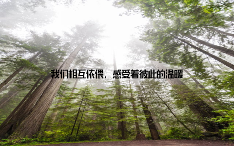 我们相互依偎, 感受着彼此的温暖