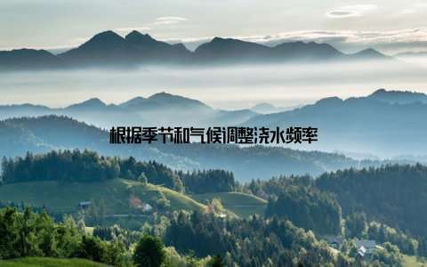 根据季节和气候调整浇水频率