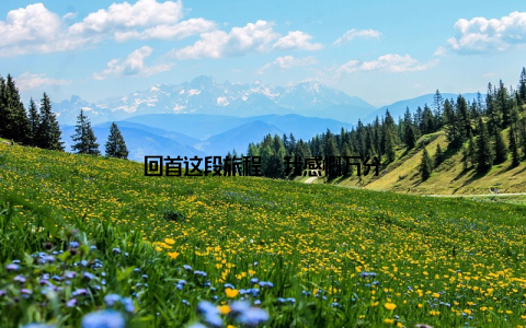 回首这段旅程, 我感慨万分