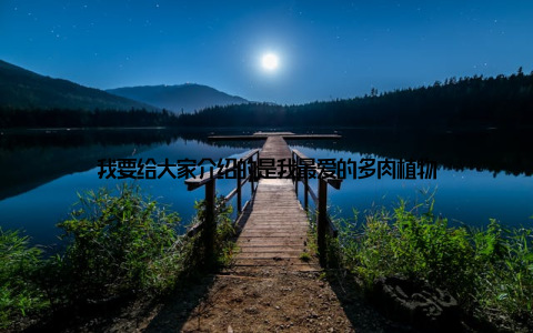 我要给大家介绍的是我最爱的多肉植物