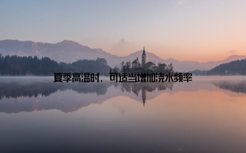 夏季高温时, 可适当增加浇水频率