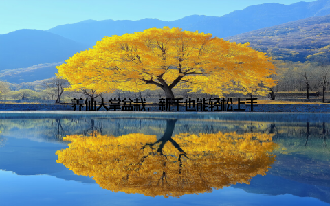 养仙人掌盆栽, 新手也能轻松上手