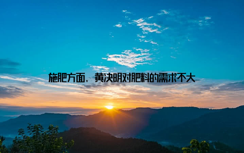 施肥方面, 黄决明对肥料的需求不大