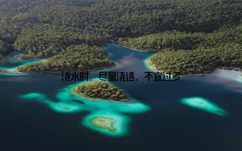 浇水时, 尽量浇透, 不宜过多