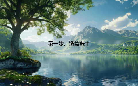 第一步, 选盆选土