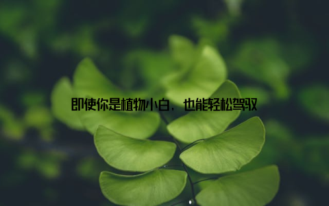 即使你是植物小白, 也能轻松驾驭