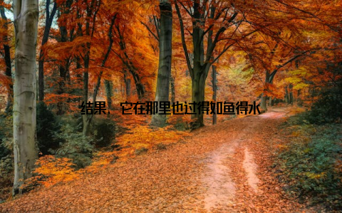 结果, 它在那里也过得如鱼得水