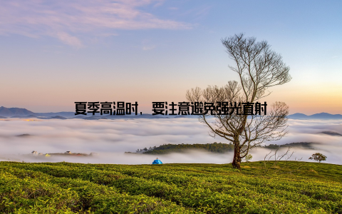 夏季高温时, 要注意避免强光直射