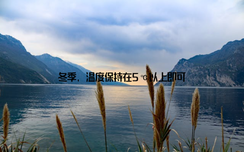 冬季, 温度保持在5℃以上即可