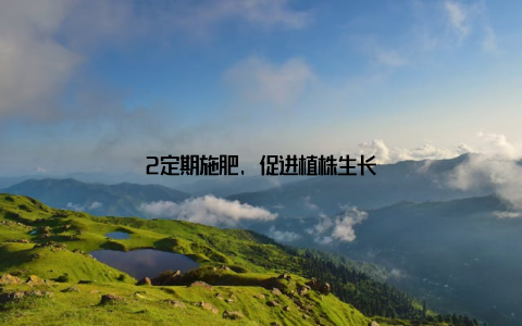 2定期施肥, 促进植株生长