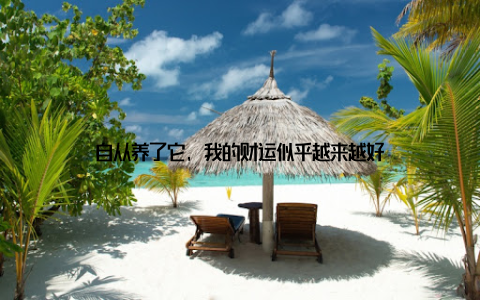 自从养了它, 我的财运似乎越来越好