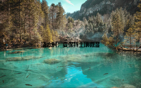 浇水时, 要保持土壤微湿