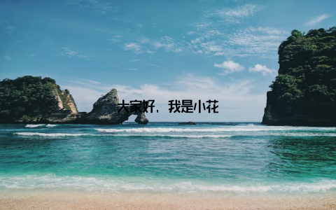 大家好, 我是小花