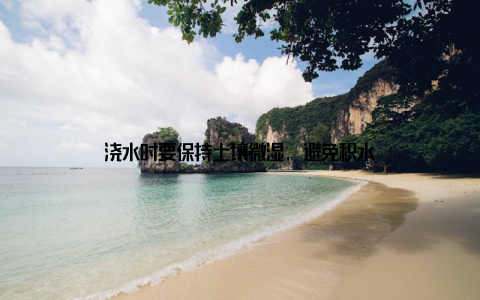 浇水时要保持土壤微湿, 避免积水