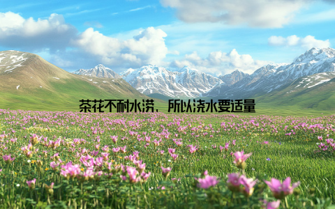 茶花不耐水涝, 所以浇水要适量