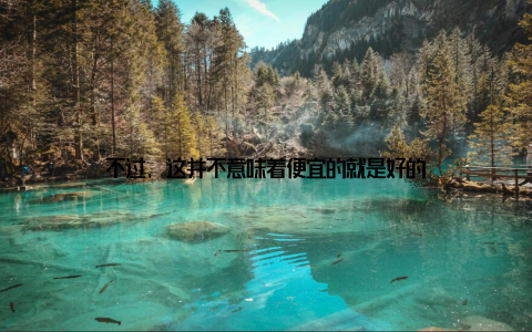 不过, 这并不意味着便宜的就是好的