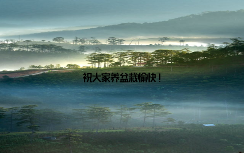 祝大家养盆栽愉快!