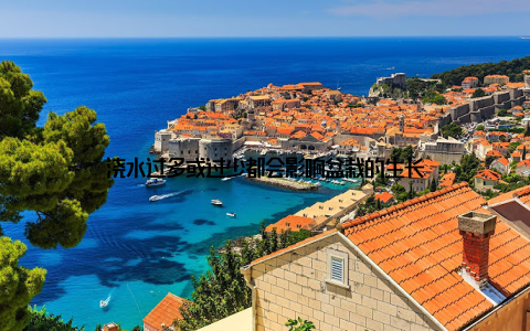 浇水过多或过少都会影响盆栽的生长