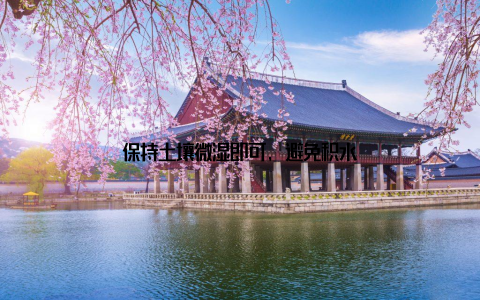 保持土壤微湿即可, 避免积水