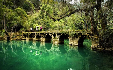 养护飘萍要保证水质清澈、光照充足