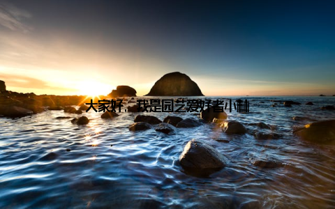 大家好, 我是园艺爱好者小林