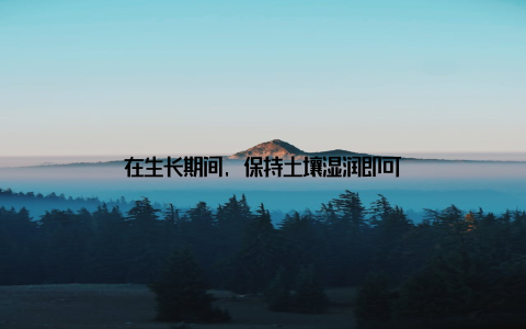 在生长期间, 保持土壤湿润即可
