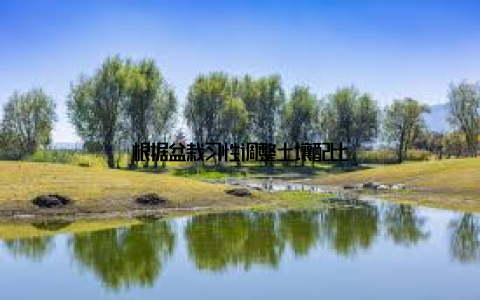 根据盆栽习性调整土壤配比