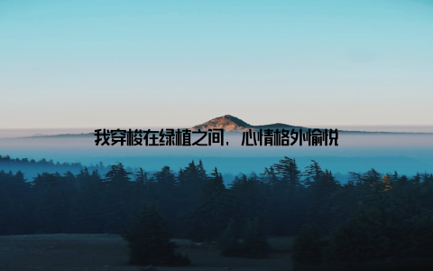 我穿梭在绿植之间, 心情格外愉悦