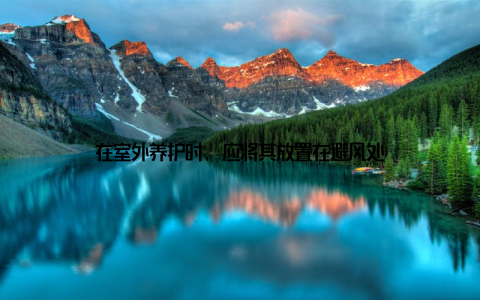 在室外养护时, 应将其放置在避风处