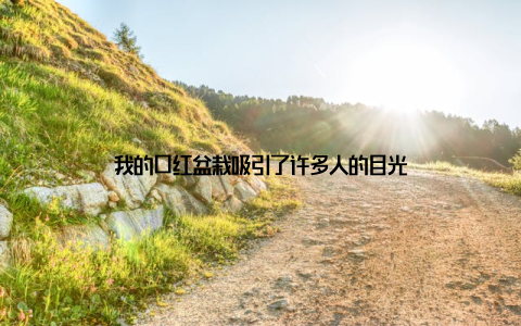 我的口红盆栽吸引了许多人的目光