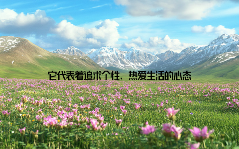 它代表着追求个性、热爱生活的心态